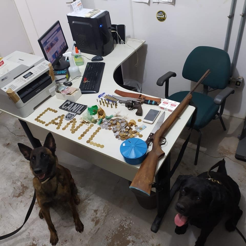 Cão farejador encontrou drogas em clube